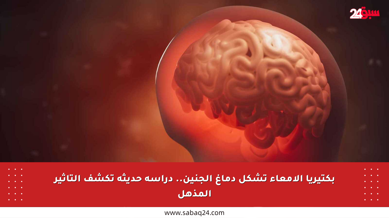 بكتيريا الأمعاء تشكل دماغ الجنين.. دراسة حديثة تكشف التأثير المذهل